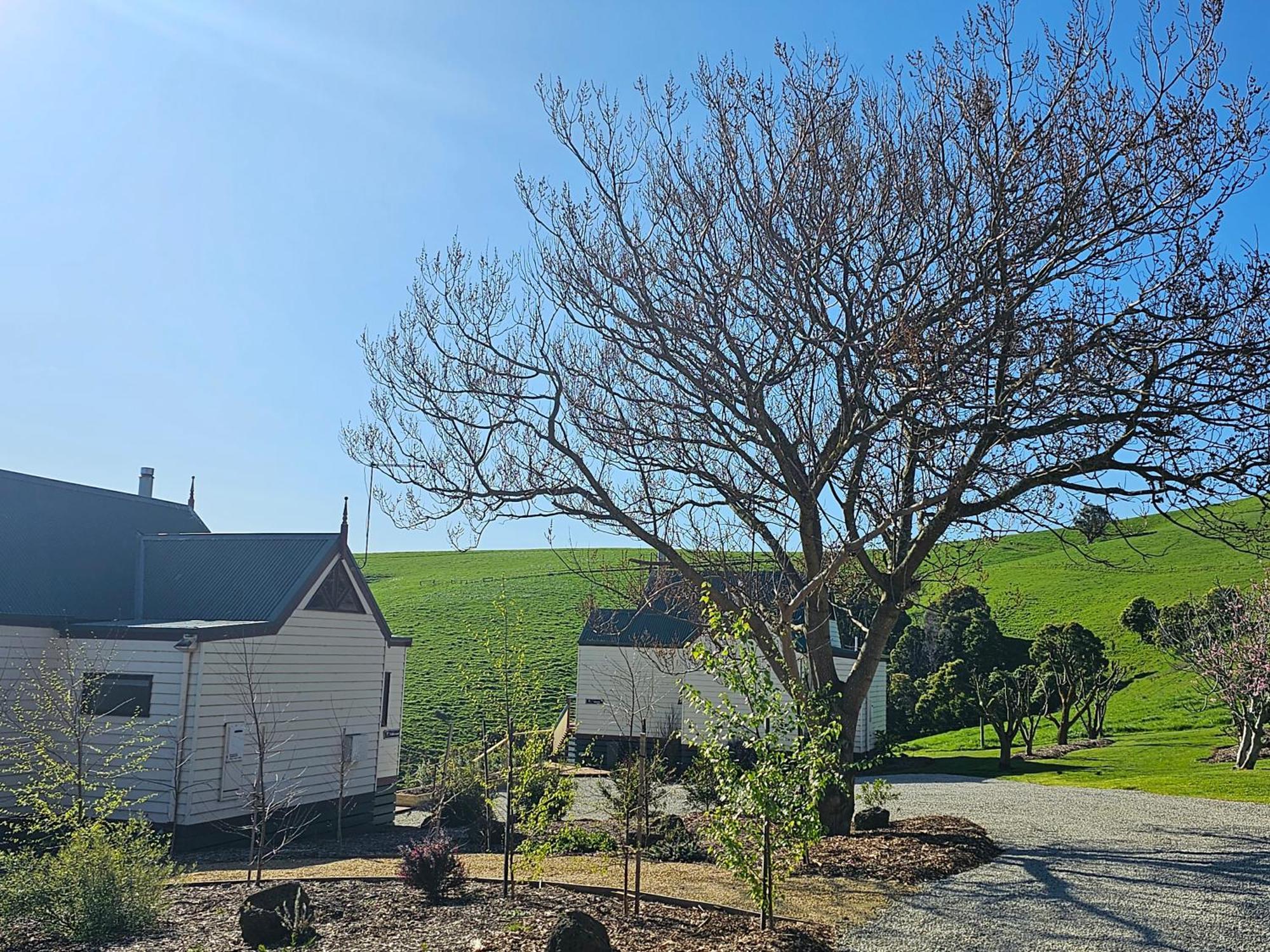 Maple Ridge Cottages Dumbalk エクステリア 写真