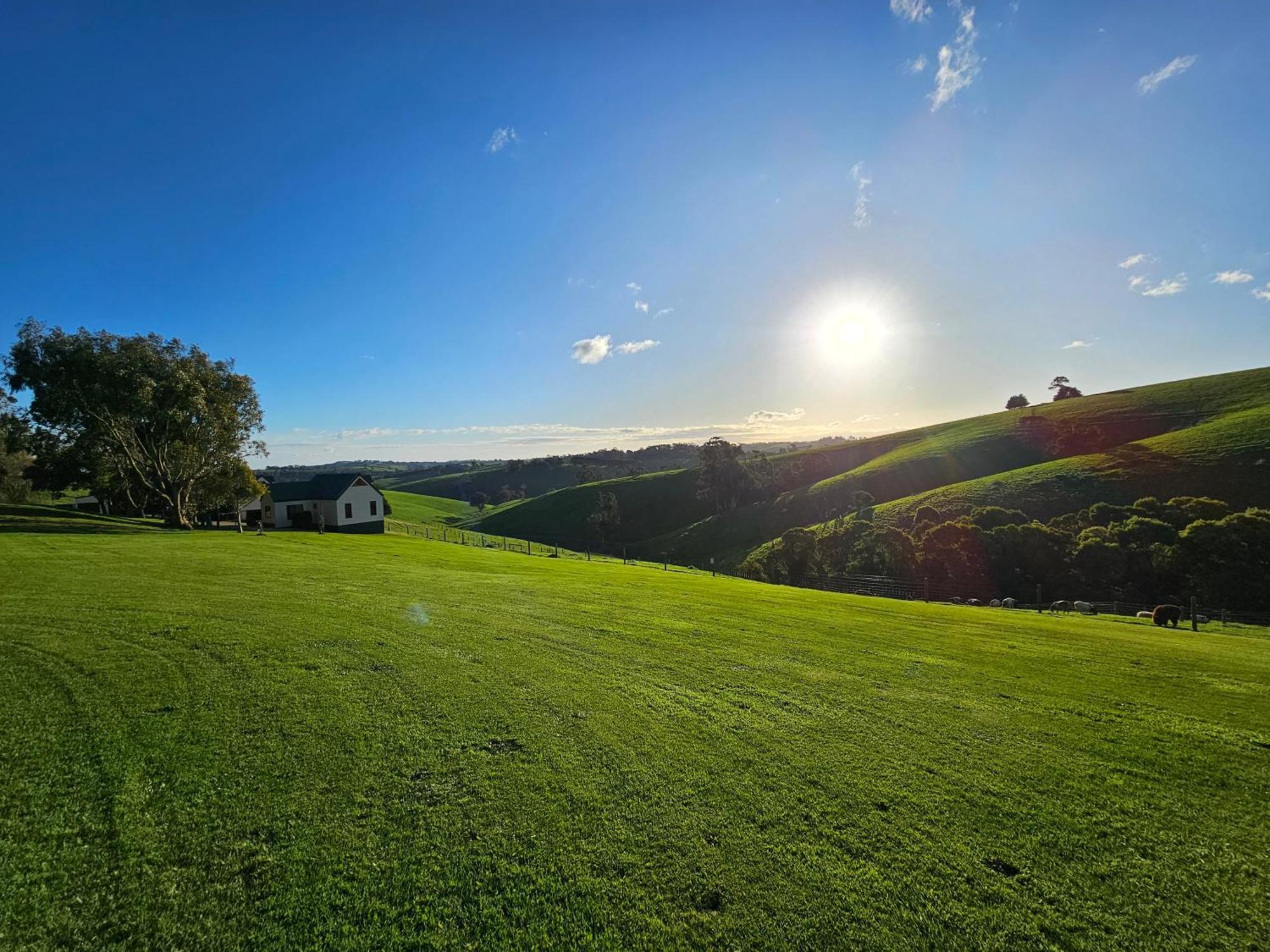 Maple Ridge Cottages Dumbalk エクステリア 写真