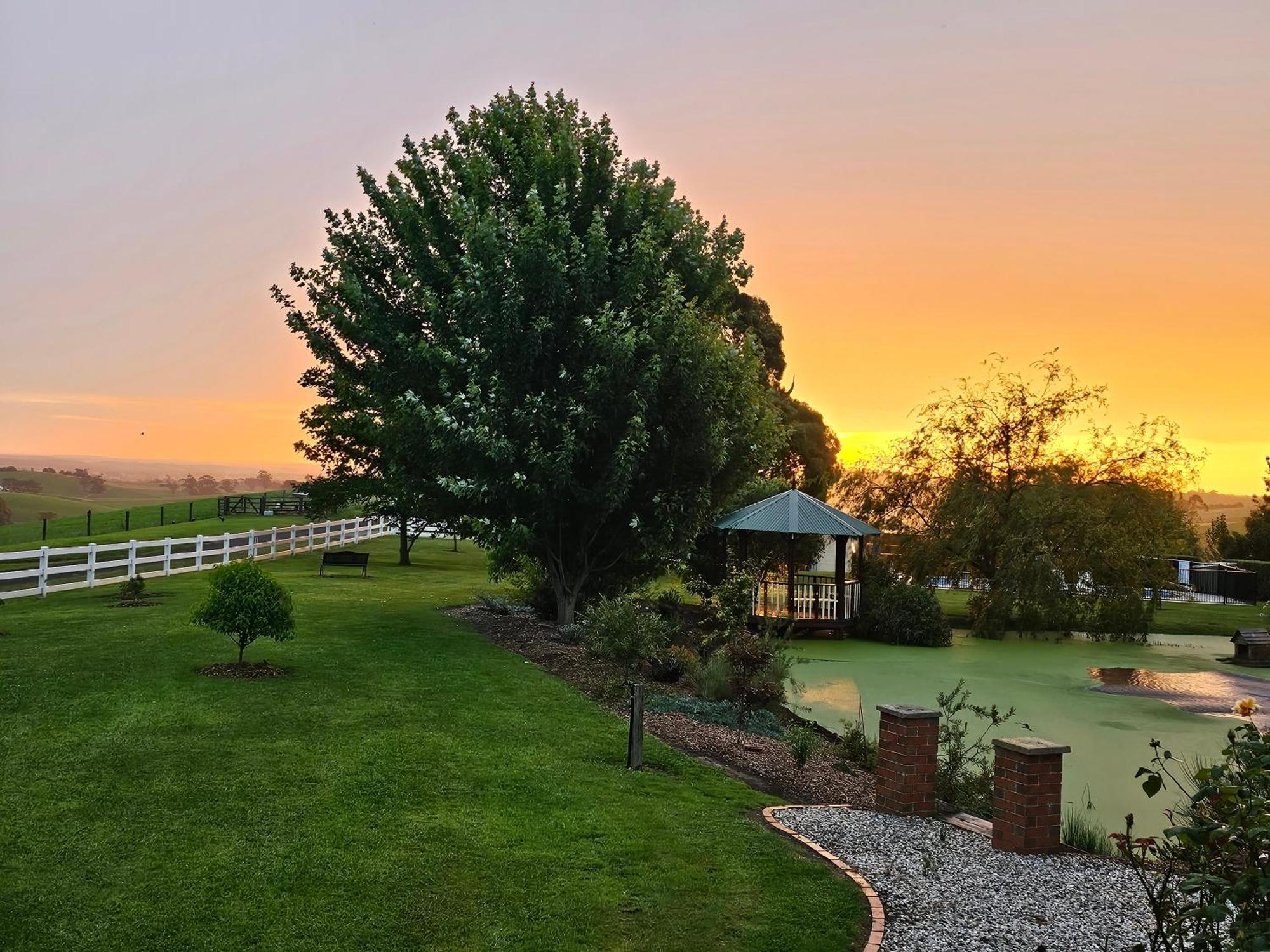 Maple Ridge Cottages Dumbalk エクステリア 写真