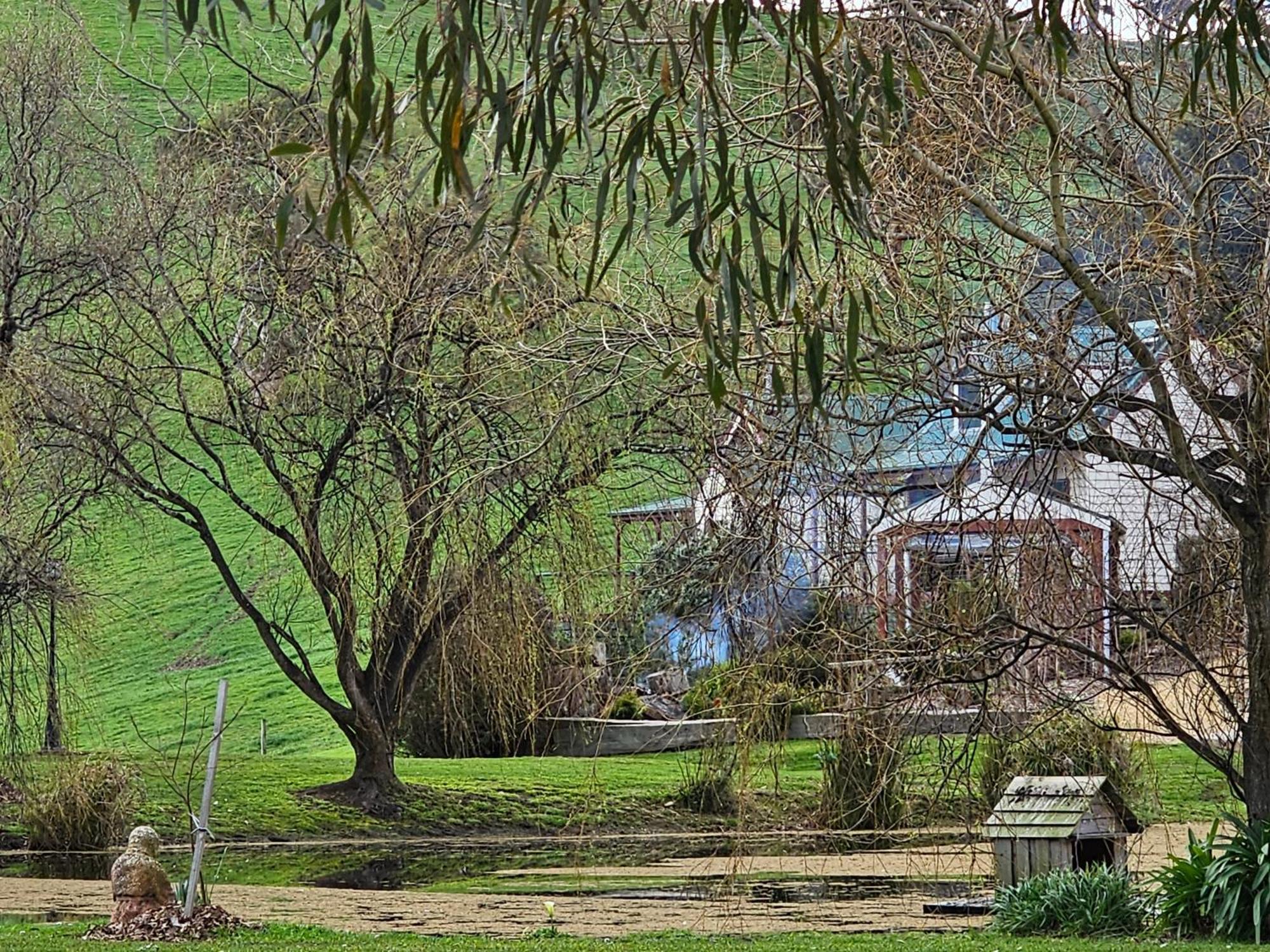 Maple Ridge Cottages Dumbalk エクステリア 写真